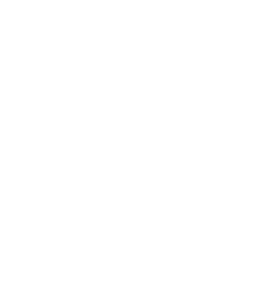Decorative shape